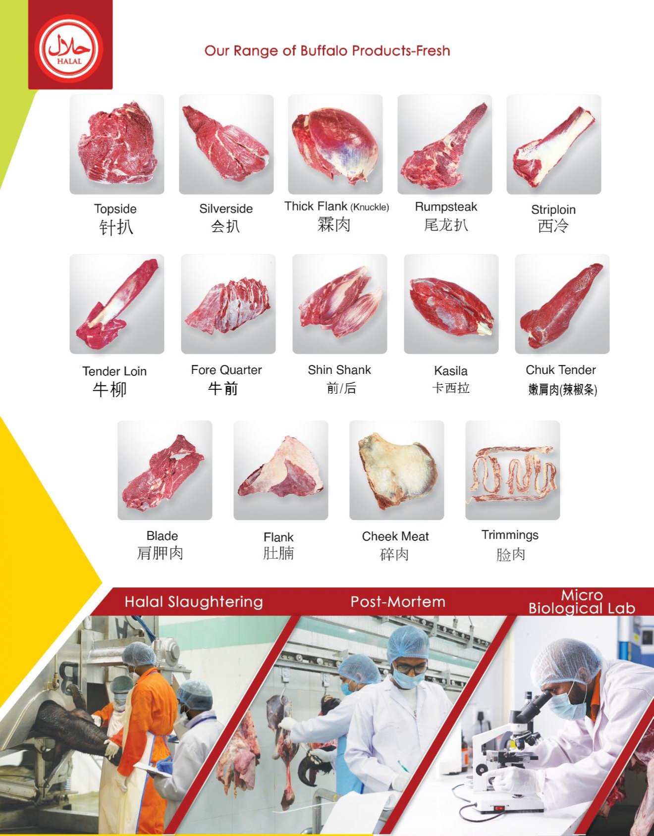 AL- Sameer Exports Pvt. Ltd