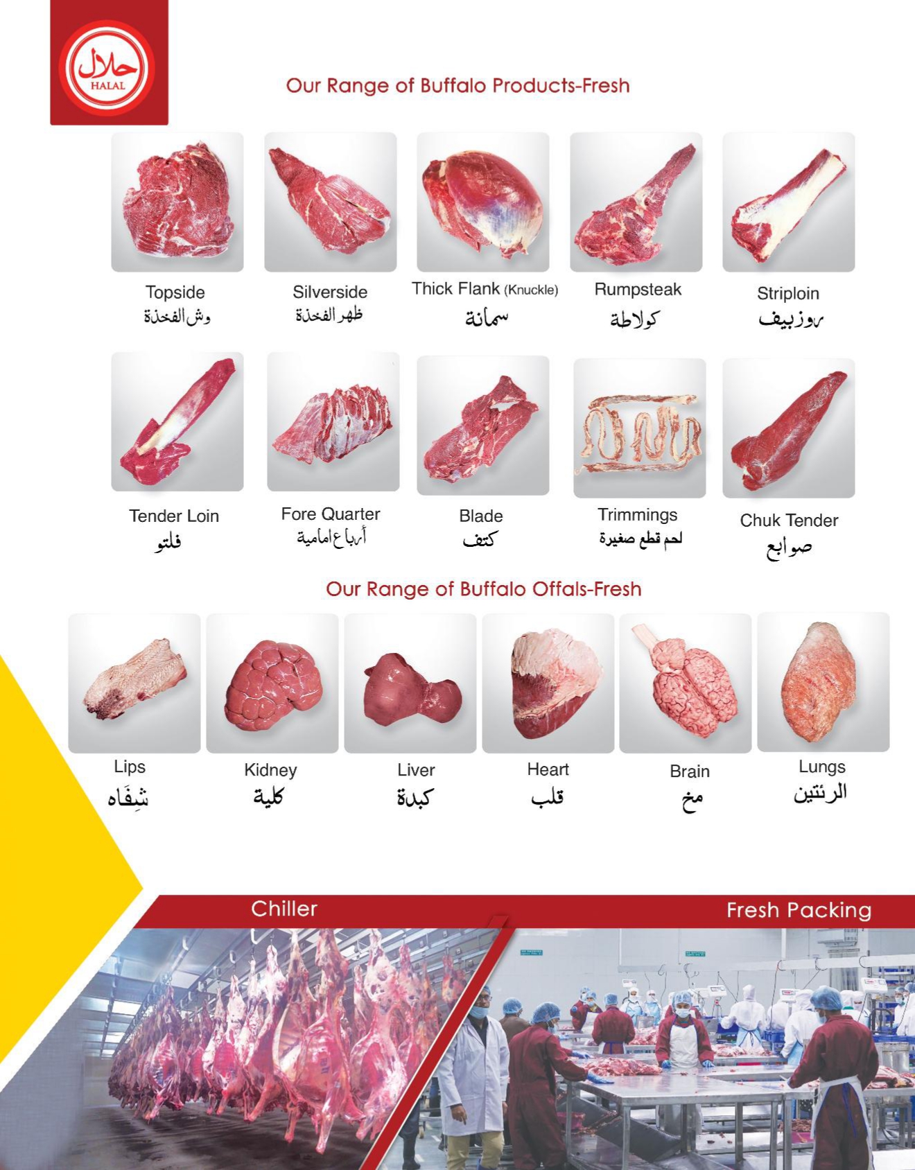 AL- Sameer Exports Pvt. Ltd
